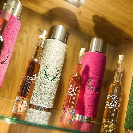 Salzburgerhof Flachau 3*